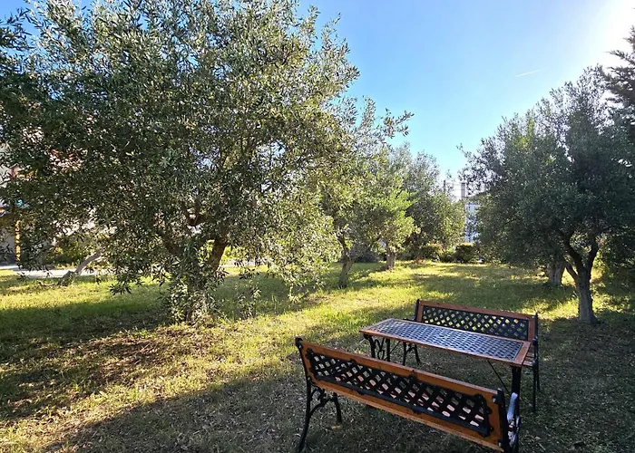 Alivia Garden